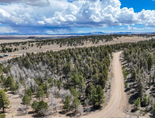 1430 Singletree Rd, Hartsel, CO 80449